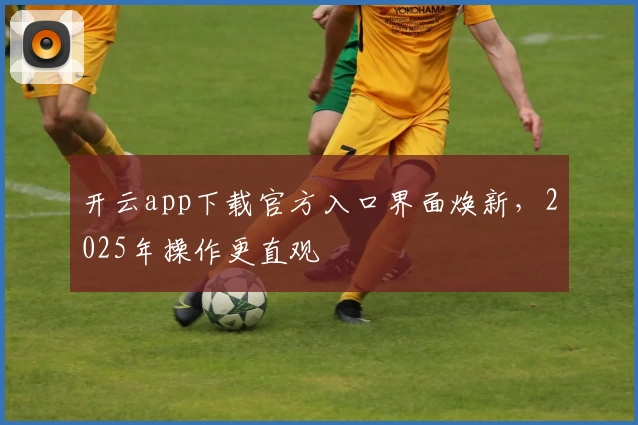 开云app下载官方入口界面焕新，2025年操作更直观