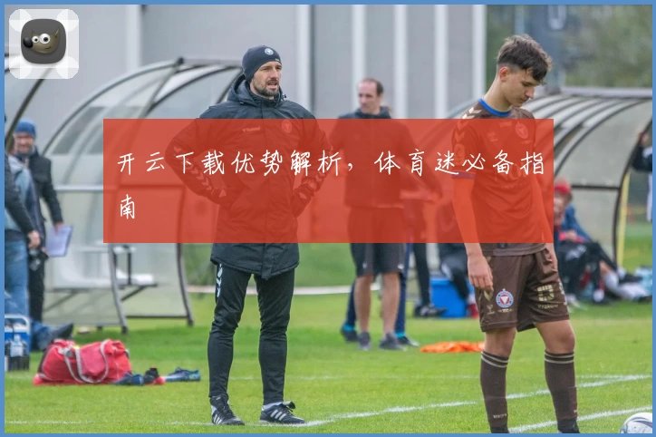 开云下载优势解析，体育迷必备指南