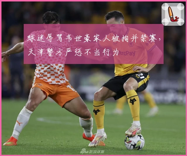 球迷辱骂韦世豪家人被拘并禁赛,天津警方严惩不当行为