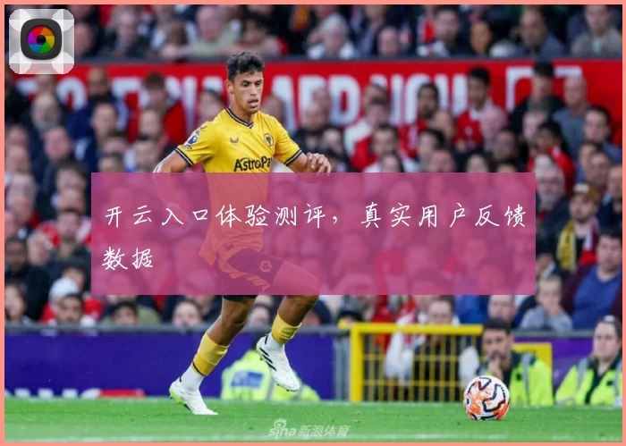 开云入口体验测评，真实用户反馈数据